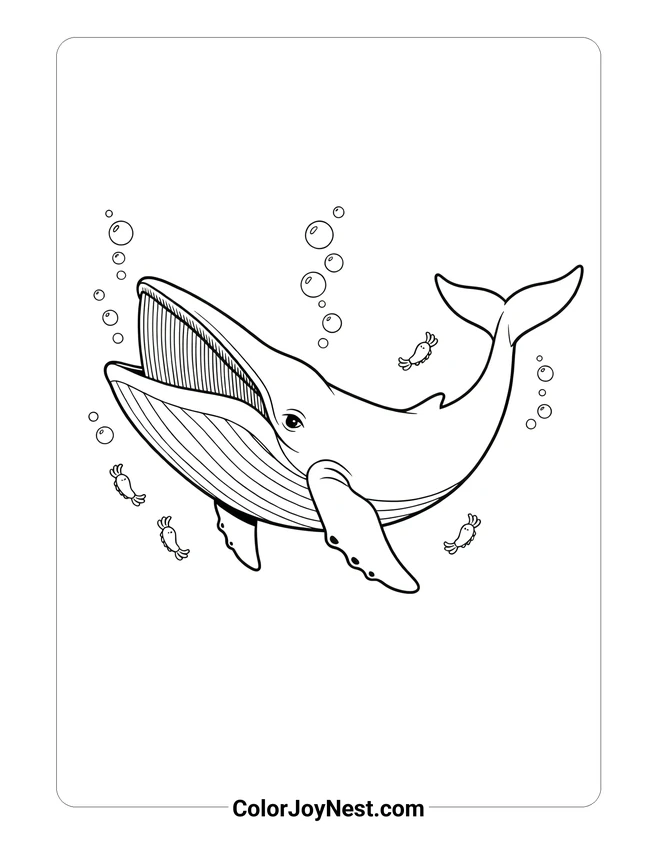 Baleen Whale and Krill Coloring Page