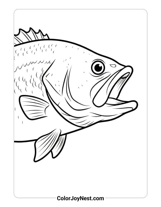 Largemouth Bass Profile Coloring Page