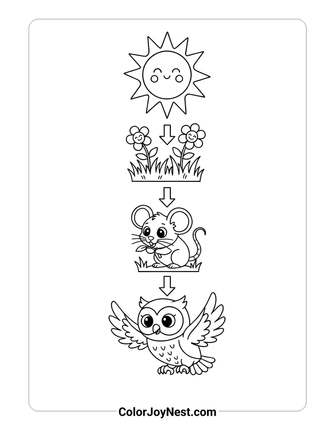 Food Chain Diagram Coloring Page