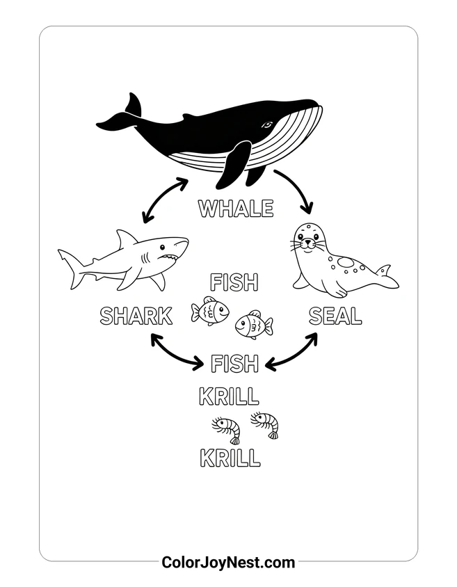 Ocean Food Web Coloring Page